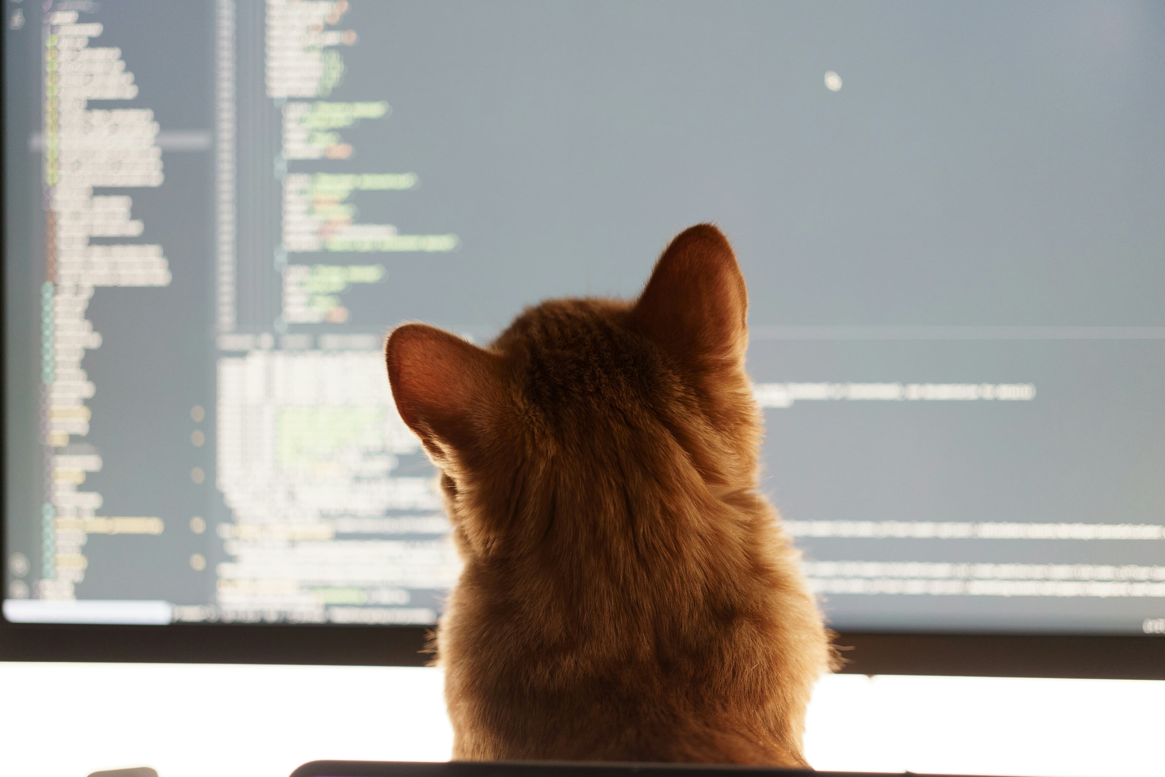 3 gute Gründe für manuelle Code Reviews – gerade in Zeiten von KI